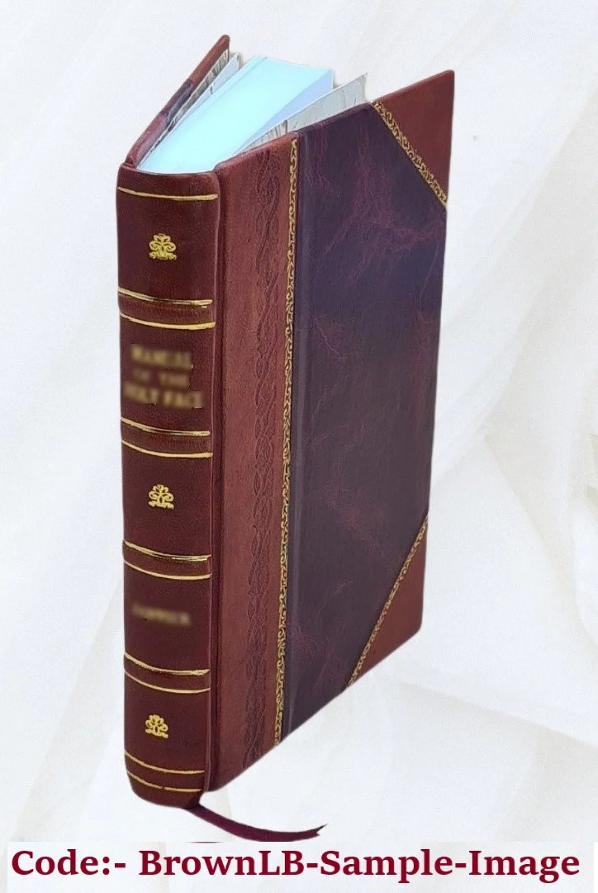 Sizean Remo and the western Riviera : climatically and medically considered 1879 [Leather Bound]