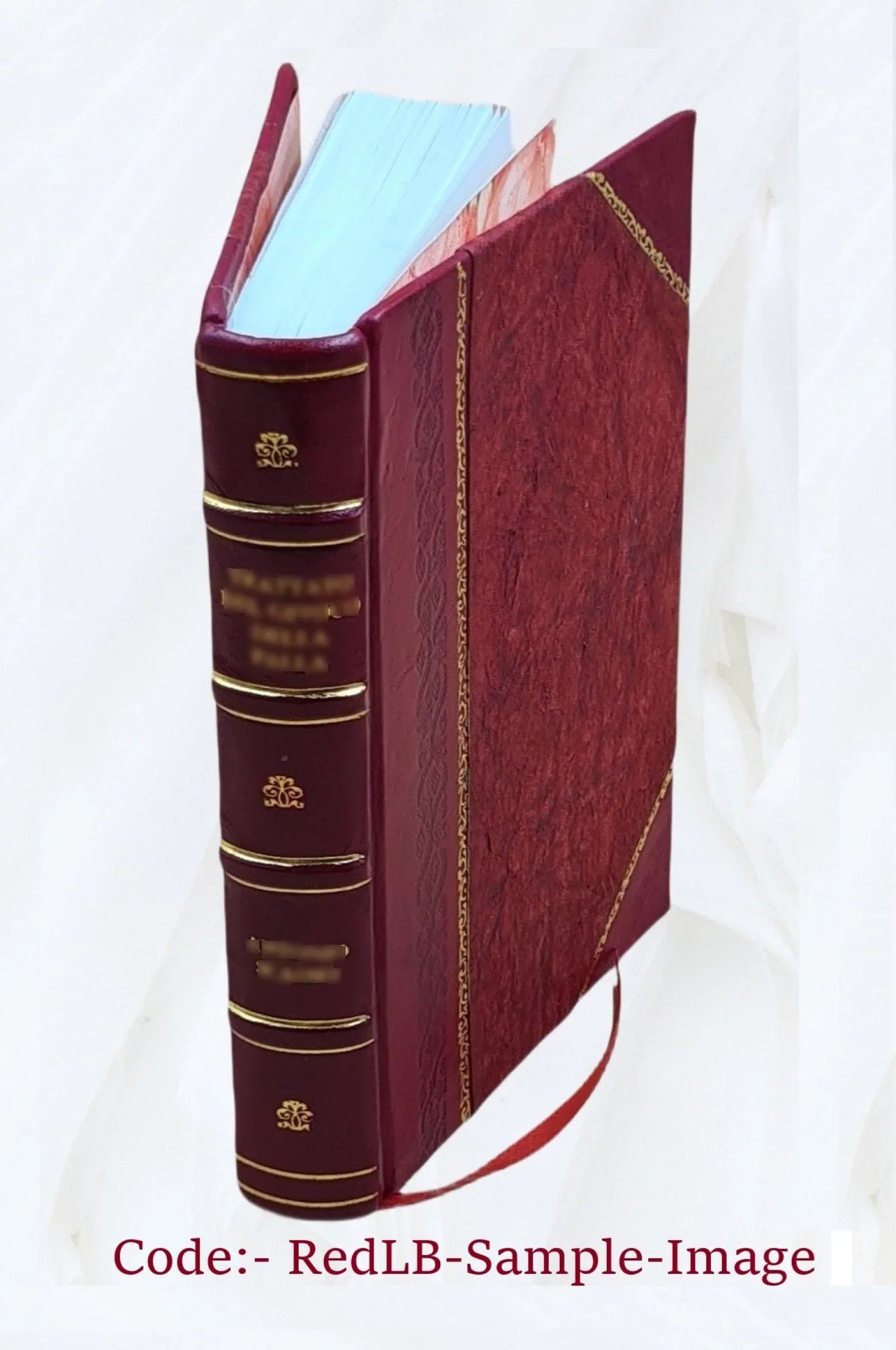 The Gold-mines of Midian and the Ruined Midianite Cities: A Fortnight's Tour in North-western Arabia 1878 [Leather Bound]