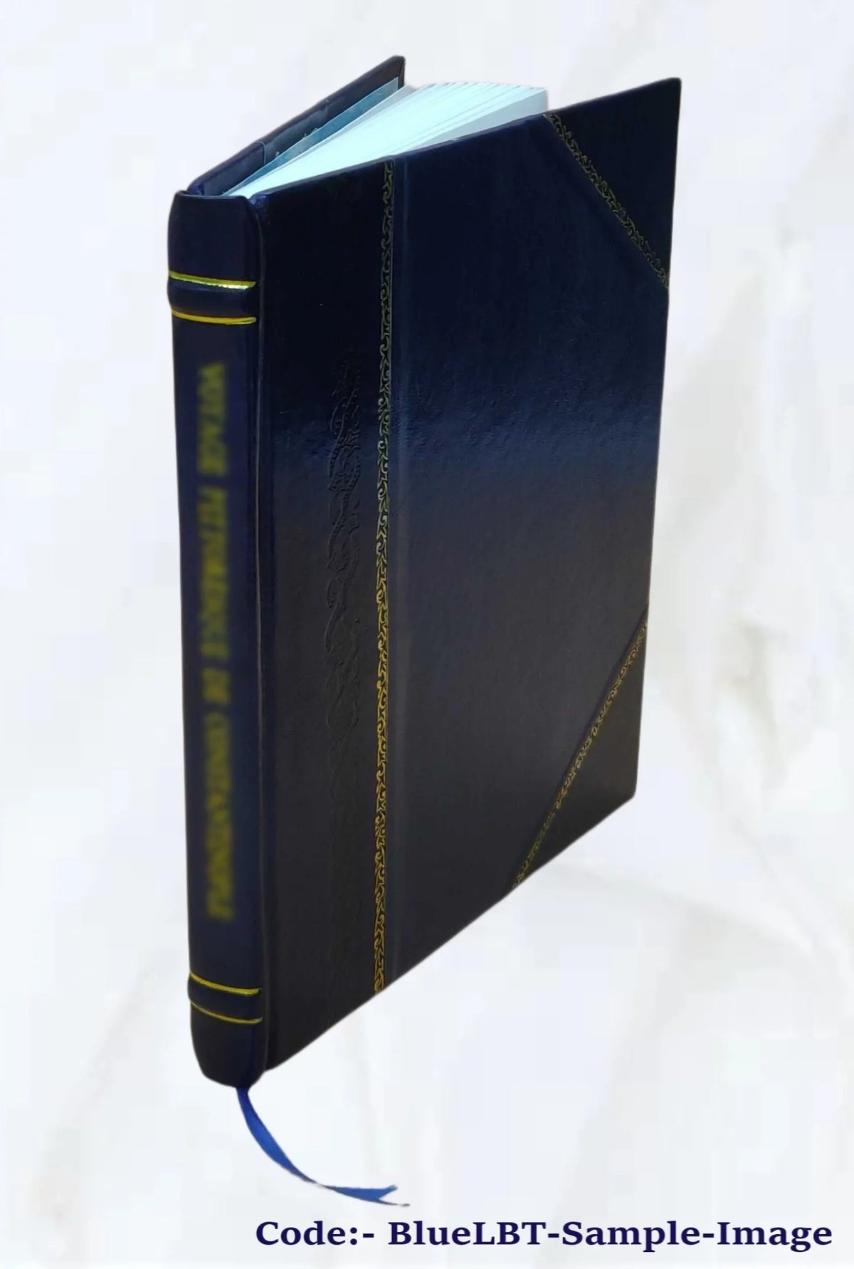 Sizeaggio teoricopratico di scritture contabili col metodo completo delle partite doppie applicato all'amministrazione del patrimonio dello Sizetato ed al bilancio attivo e passivo in an