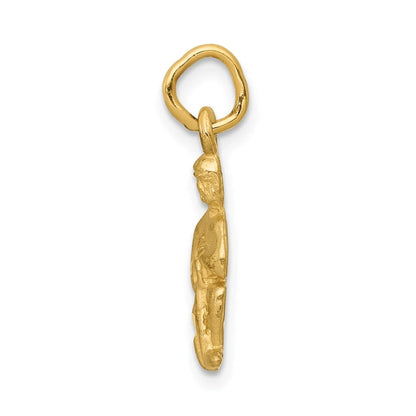 14k Sizeatin Diamond-cut Aquarius Zodiac Charm QC486