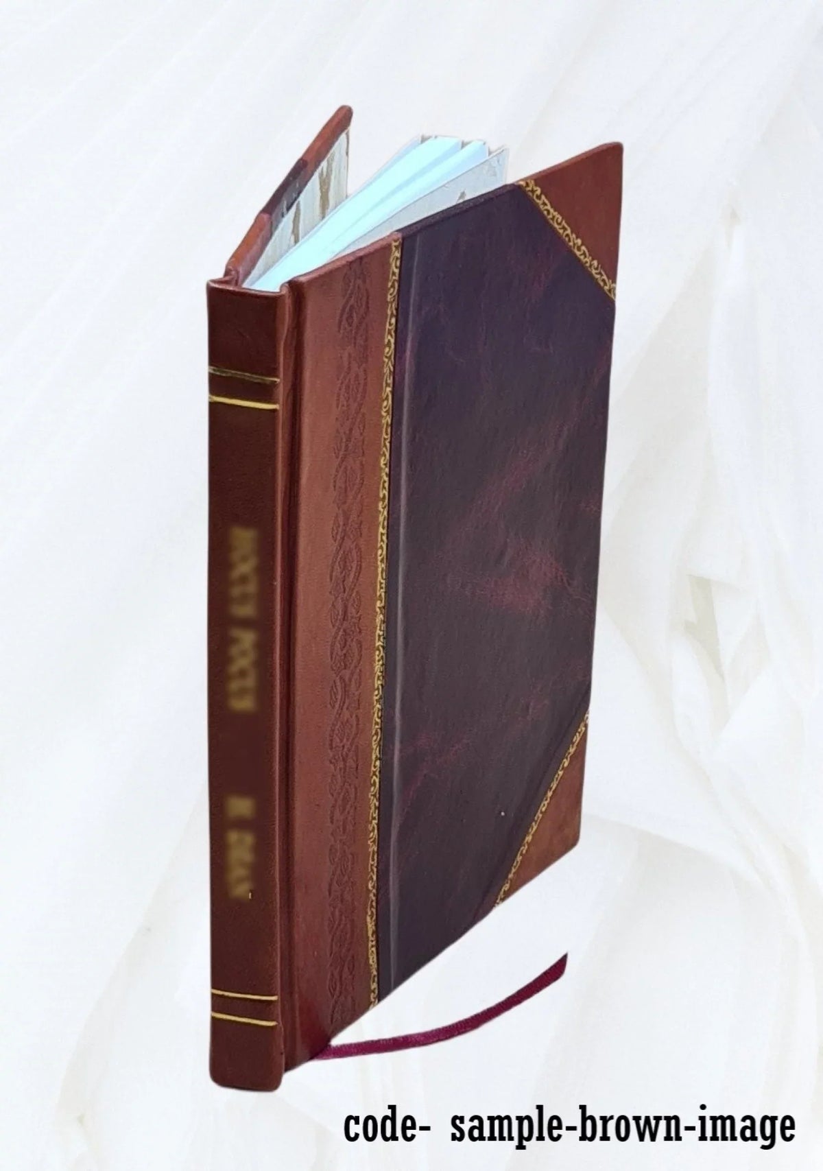 My progress book in good health : profitable seatwork to train health habits / by Pansy Barret Caldwell ; drawings by Jean Leavitt Turner. Volume v.6 1930 [Leather Bound]